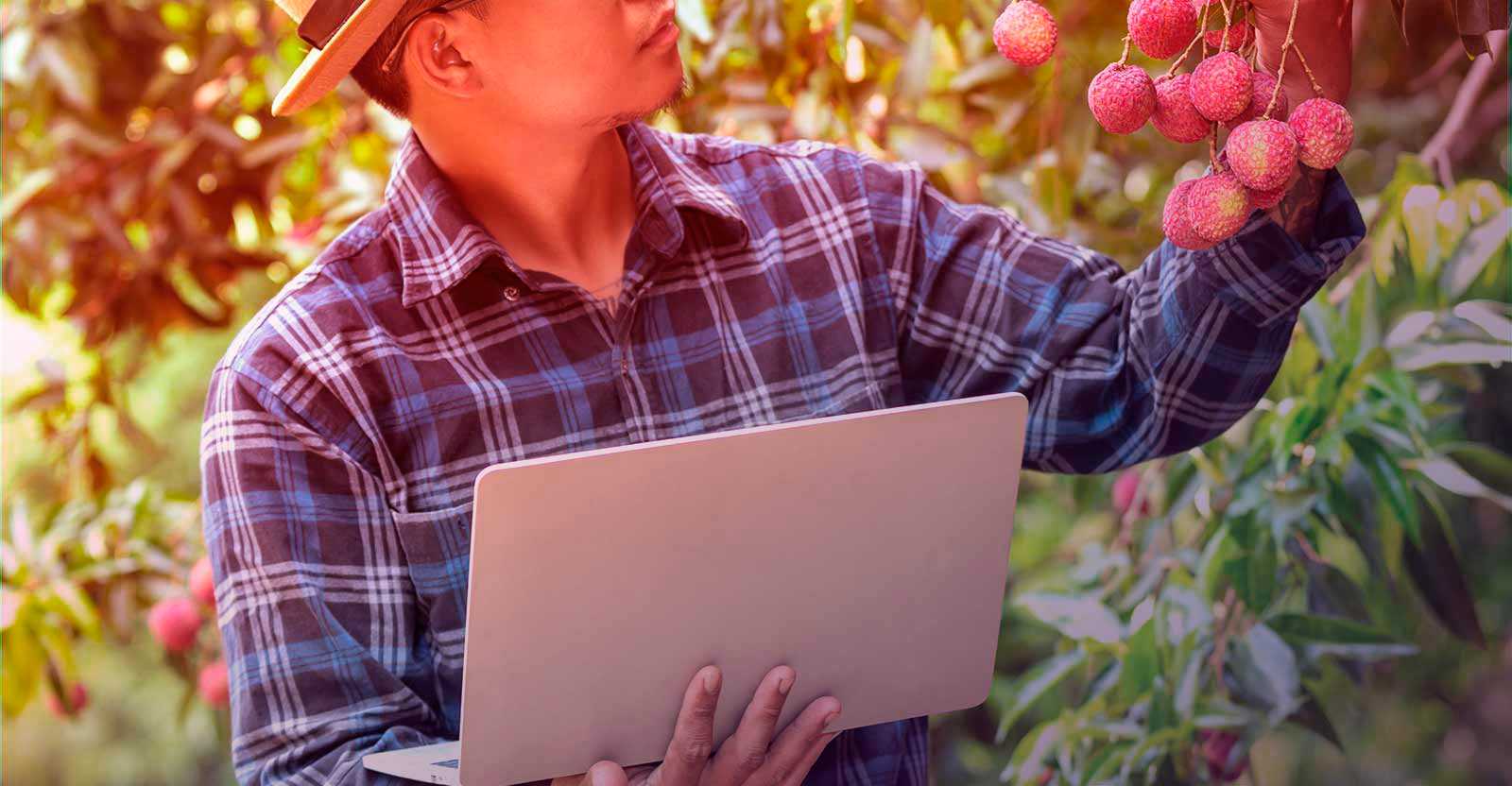 Leia mais sobre o artigo Nutrição