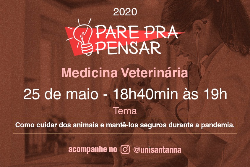 Read more about the article Pare Pra Pensar: Como Cuidar dos Animais e Mantê-los Seguros na Pandemia