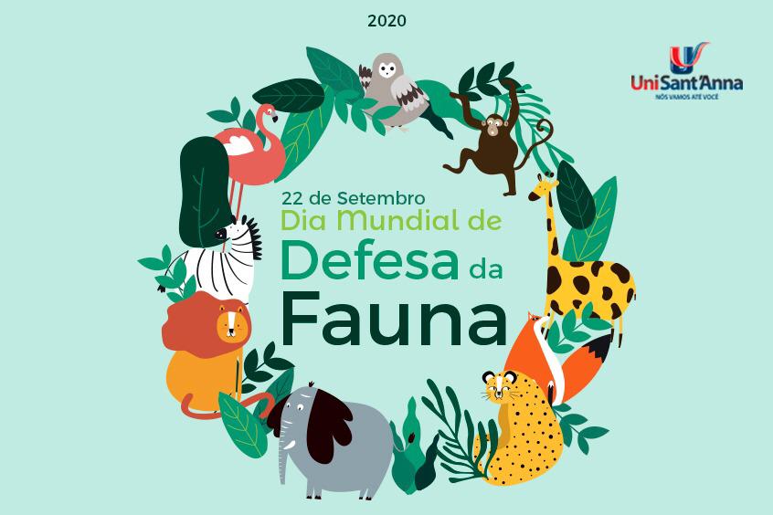 Read more about the article 22 de setembro: O que você tem a ver com o Dia Mundial de Defesa da Fauna?