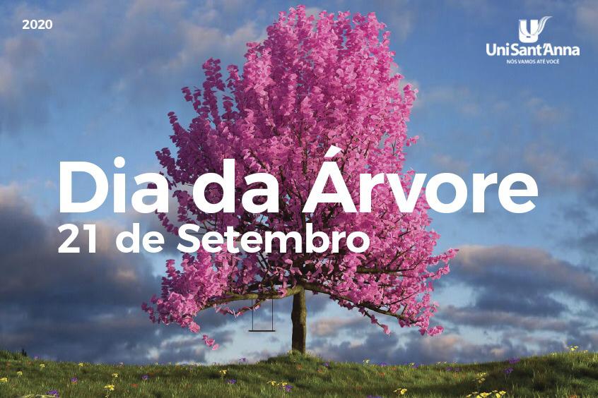 Read more about the article Qual o motivo para haver um Dia da Árvore?