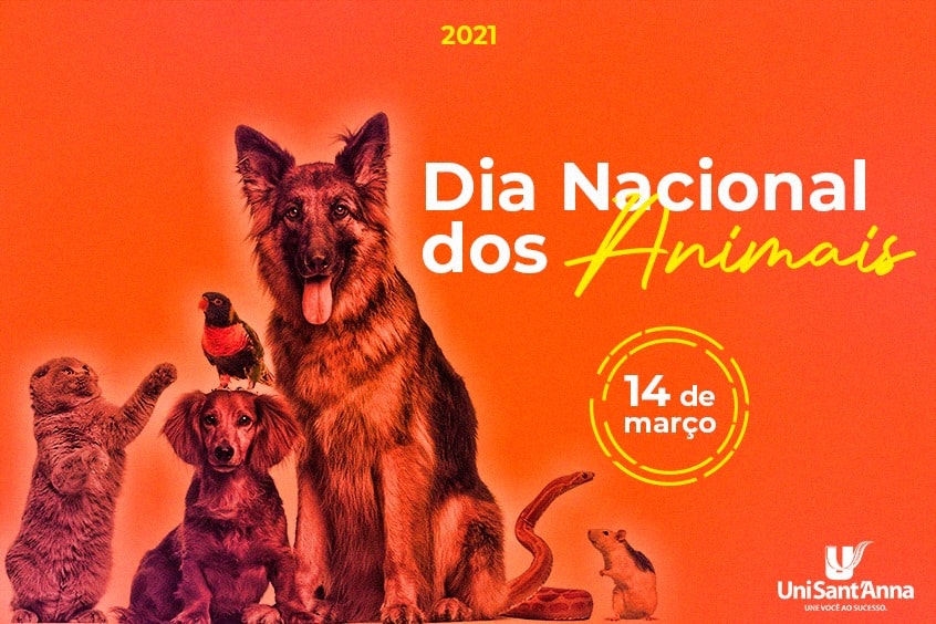 Read more about the article 14 de Março: Dia Nacional dos Animais