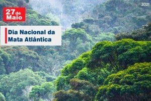 Read more about the article 27 de Maio: Dia Nacional da Mata Atlântica