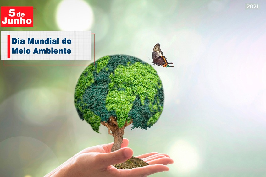No momento você está vendo 05 de Junho: Dia Mundial do Meio Ambiente