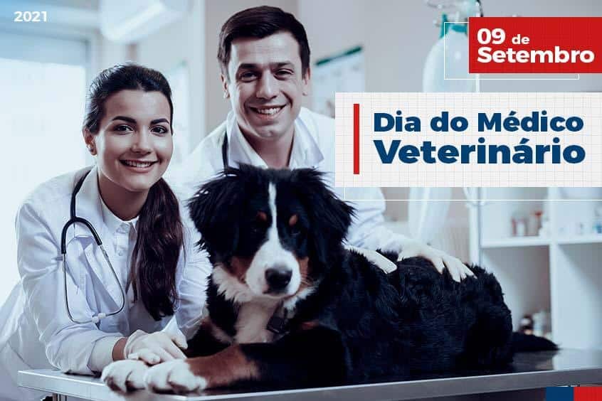 No momento, você está visualizando 09 de Setembro: Dia do Médico Veterinário