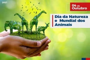 Leia mais sobre o artigo 04 de Outubro: Dia da Natureza e Mundial dos Animais
